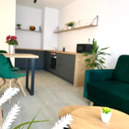 Apartment Mala Praha 日利纳 外观 照片